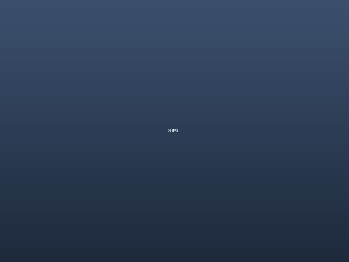 Echipa Demo — model de site